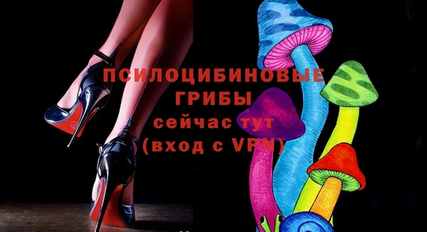 прущие грибы Алзамай
