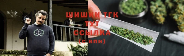 прущие грибы Алзамай