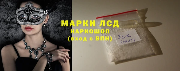 прущие грибы Алзамай