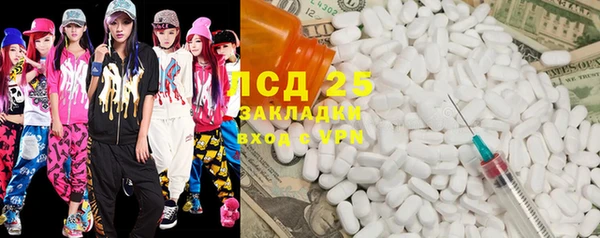 прущие грибы Алзамай