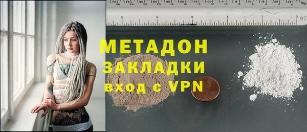 прущие грибы Алзамай