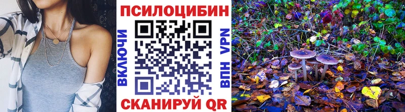 Галлюциногенные грибы Psilocybine cubensis  наркотики  Обнинск 